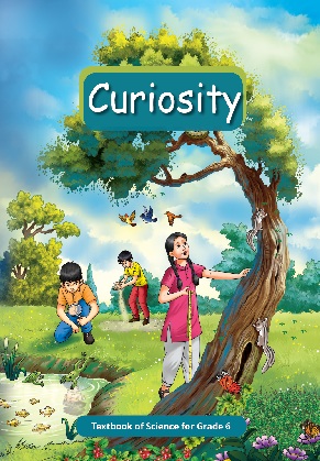 curiosity (science)